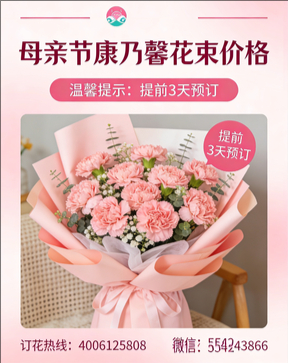 河池宜州市花店母亲节康乃馨花束