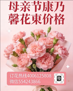河池宜州市花店母亲节康乃馨花束